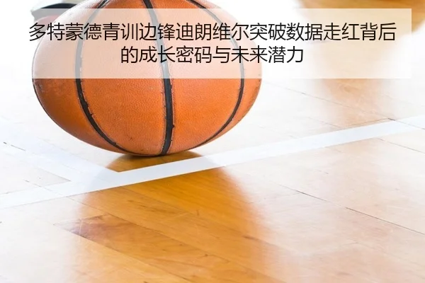 多特蒙德青训边锋迪朗维尔突破数据走红背后的成长密码与未来潜力